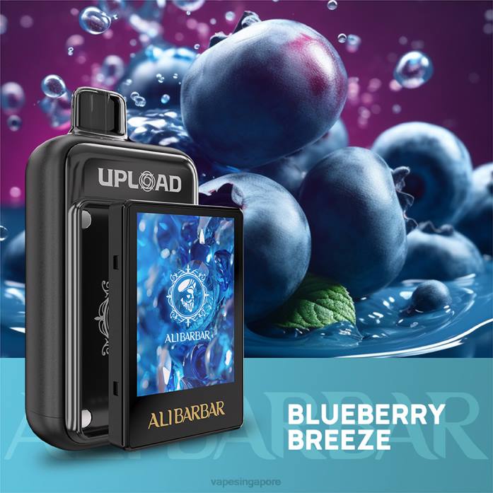 Vape Singapore Blueberry breeze | Alibarbar Upload 084D113