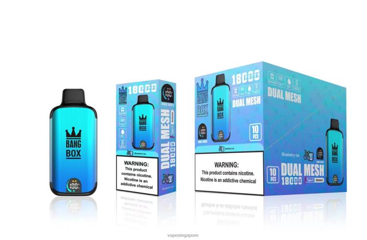 Bang Box 18000 puffs JL06V90 - Vape Wholesale Supplier Blueberry Ice