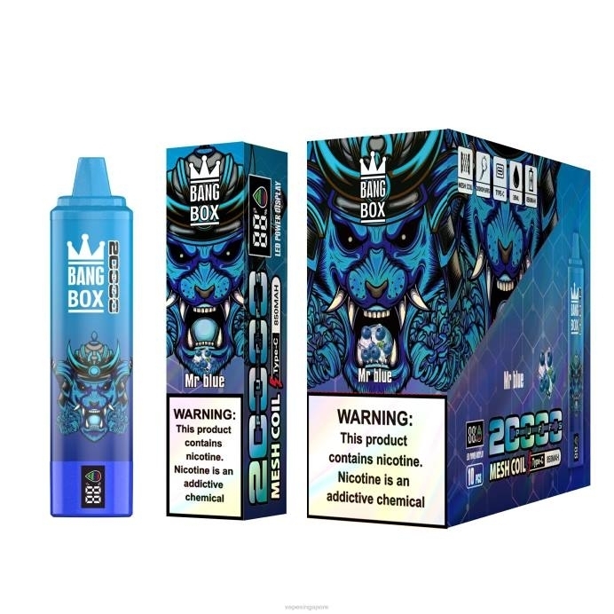 Mr Blue - Vape Wholesale near me 2PLF129 Bang Box 20000