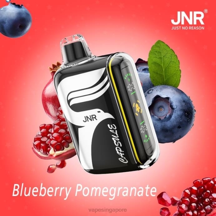 Blueberry-Pomegranate - Vape Wholesale supplier 2PLF601 JNR CAPSULE