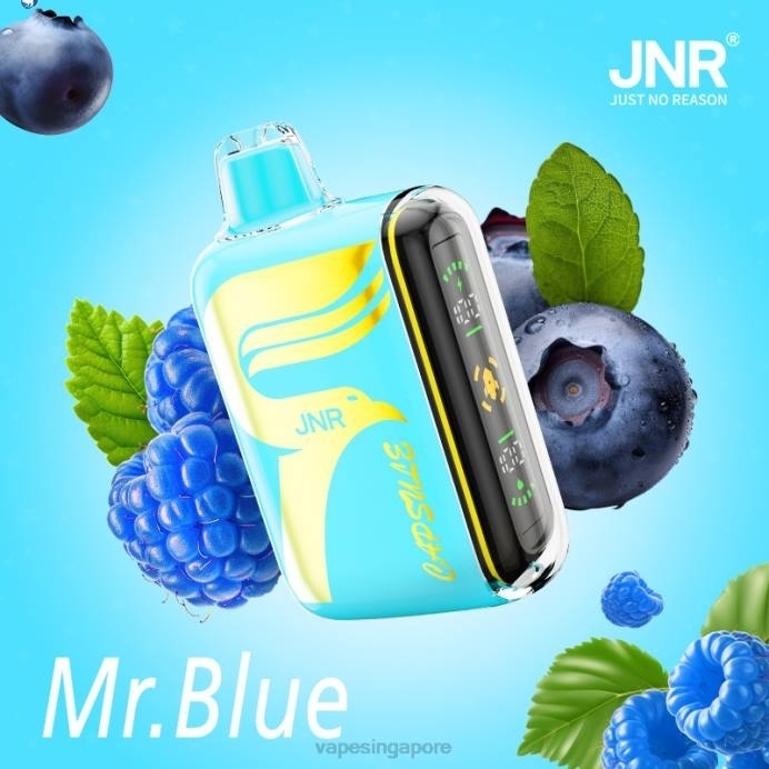 Mr.Blue - Vape Wholesale prices 2PLF606 JNR CAPSULE