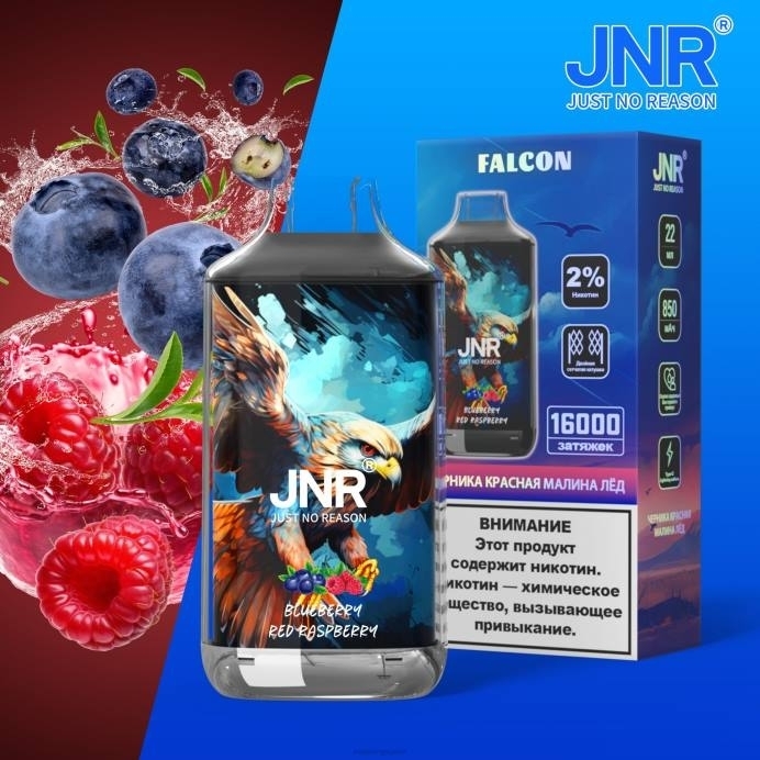 Blueberry Red Raspberry - disposable Vape SG 2PLF700 JNR FALCON