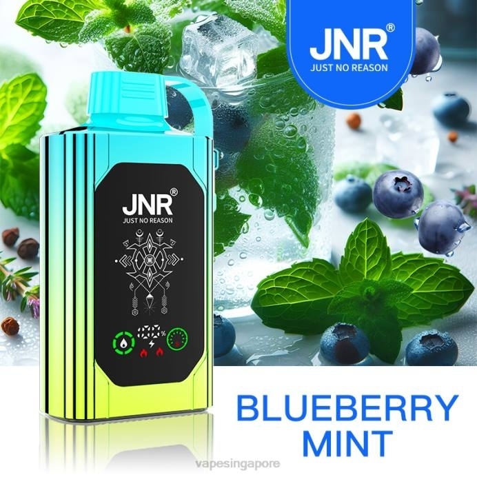 Blueberry Mint - disposable Vape Singapore 2PLF618 JNR SHISHA BOX