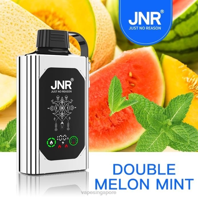 Double Melon Mint - Vape Wholesale supplier 2PLF621 JNR SHISHA BOX