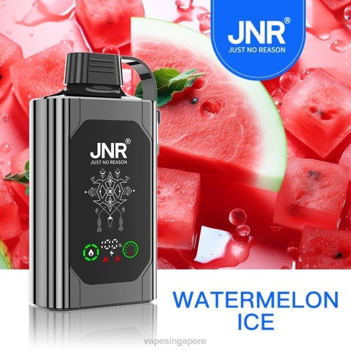 Watermelon Ice - disposable Vape SG 2PLF630 JNR SHISHA BOX