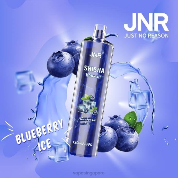 Blueberry Ice - Vape Wholesale supplier 2PLF671 JNR SHISHA