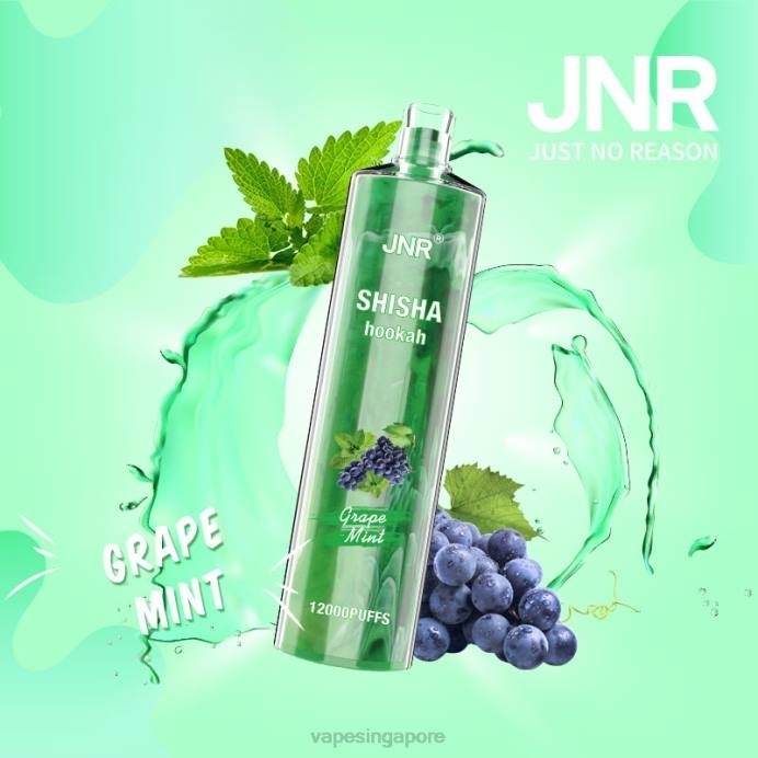 Grape Mint - disposable Vape Singapore 2PLF678 JNR SHISHA