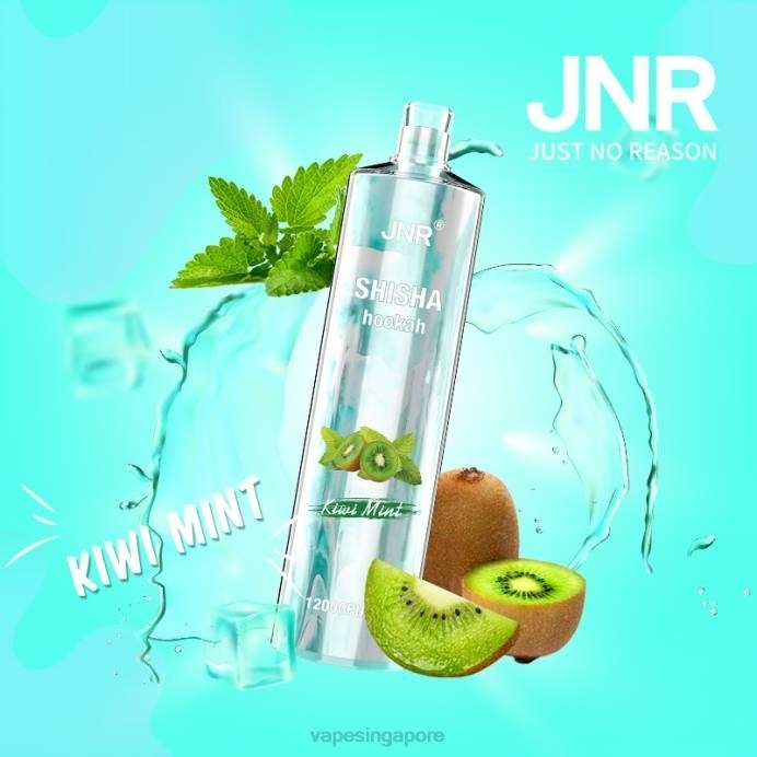 Kiwi Mint - Vape Wholesale supplier 2PLF681 JNR SHISHA