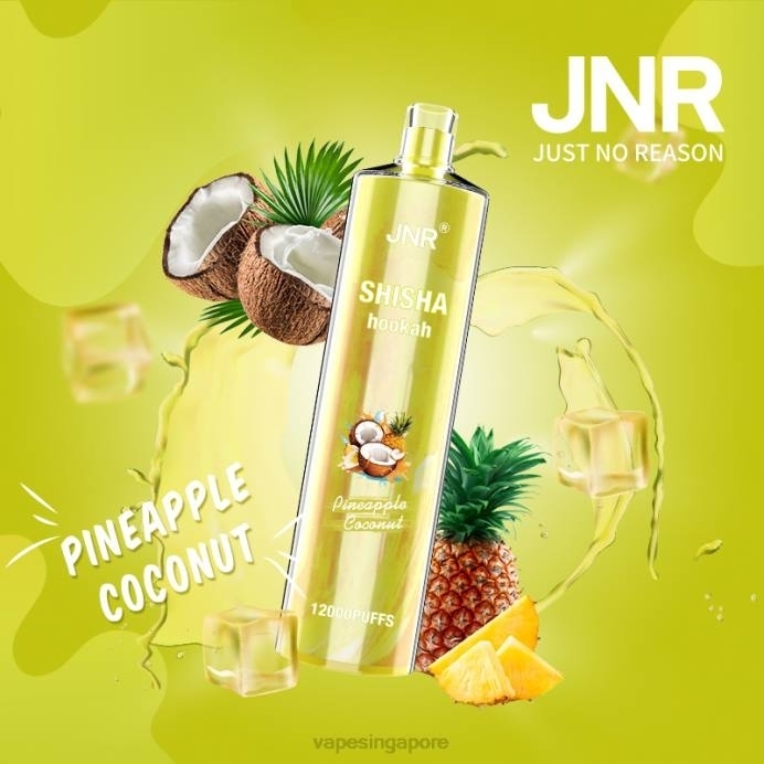 Pineapple Coconut - Vape Wholesale prices 2PLF686 JNR SHISHA