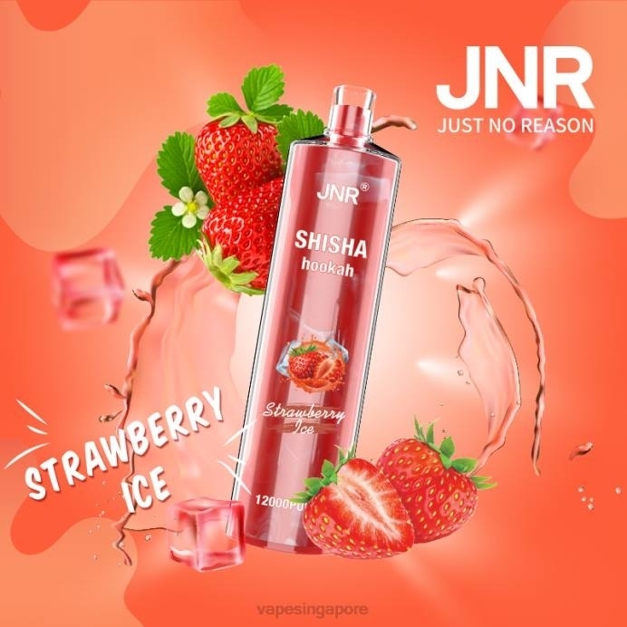 Strawberry Ice - Vape Wholesale near me 2PLF689 JNR SHISHA