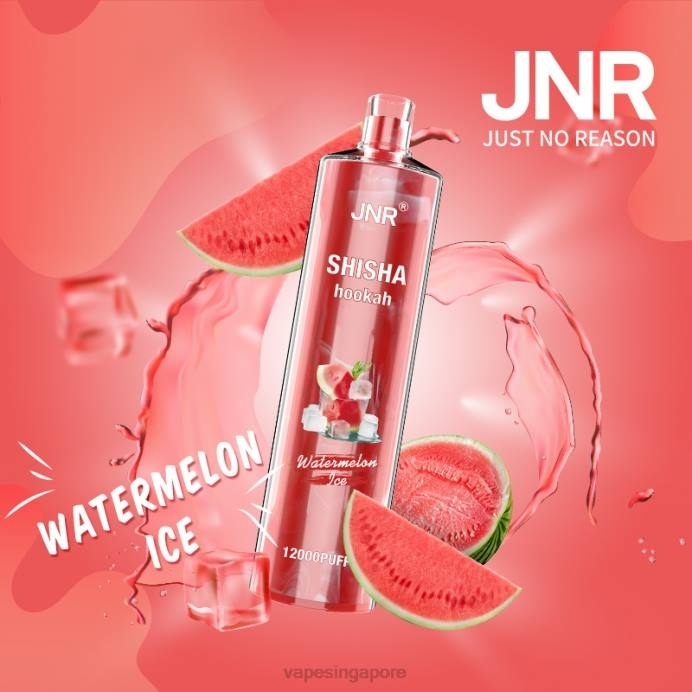 Watermelon Ice - Vape Singapore 2PLF693 JNR SHISHA