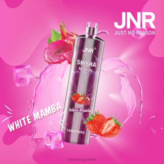 White Mamba - Vape supplier Singapore 2PLF695 JNR SHISHA