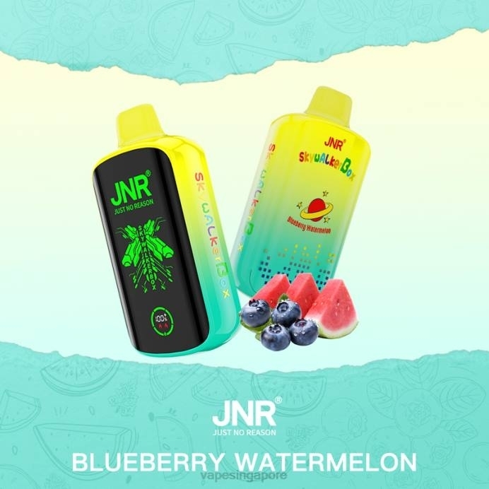 Blueberry Watermelon - Vape Wholesale prices 2PLF586 JNR SKYWALKER BOX