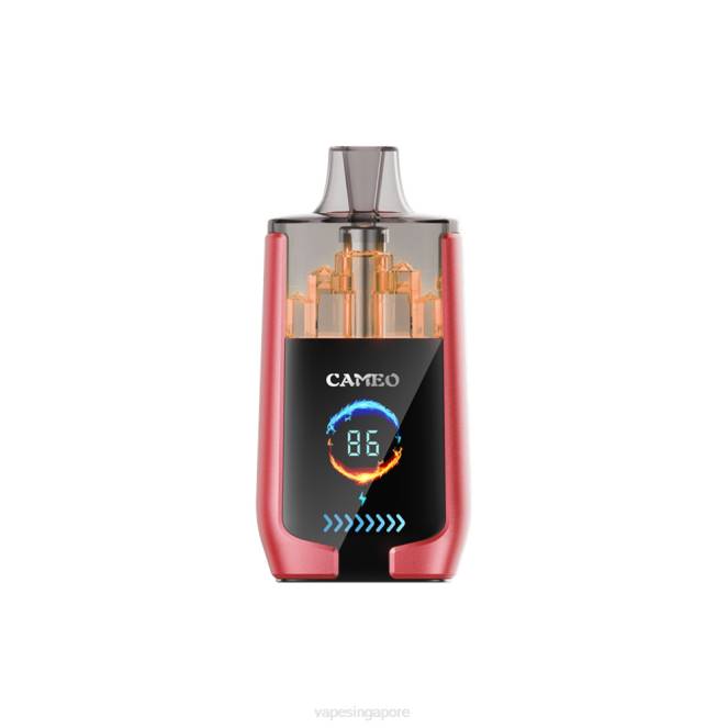 LAVIE CAMEO 30000 Puffs 4HB014 | Disposable Vape SG Watermelon Ice