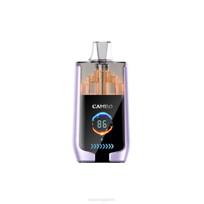 LAVIE CAMEO 30000 Puffs 4HB016 | Vape Wholesale Prices Grape Ice