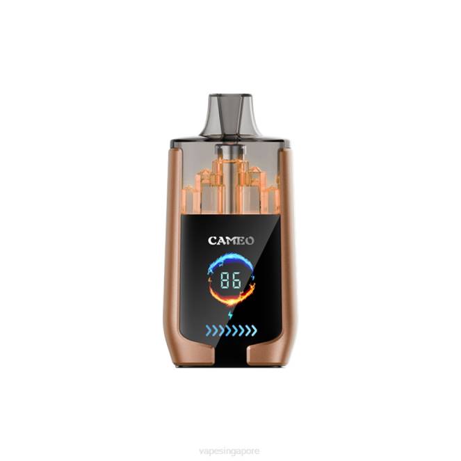 LAVIE CAMEO 30000 Puffs 4HB018 | Vape Wholesale Supplier Coffee Ice