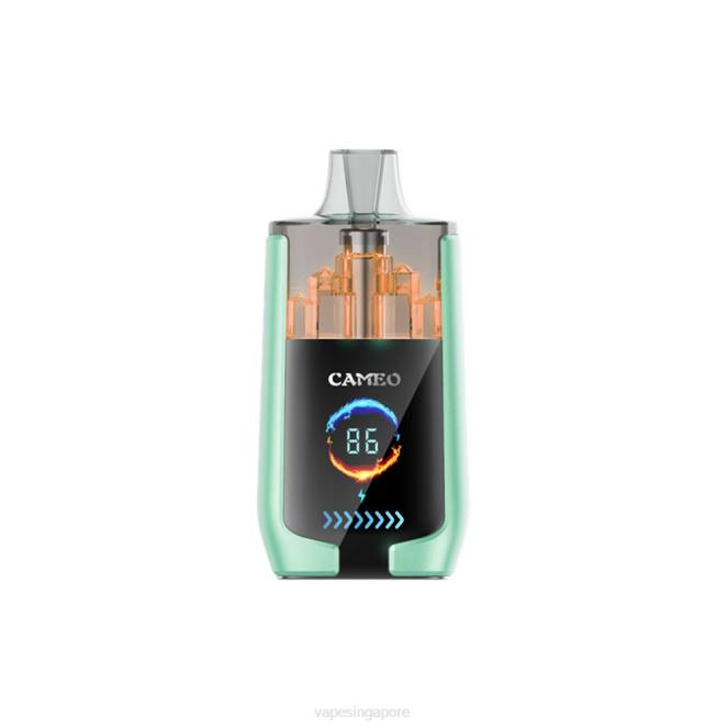 LAVIE CAMEO 30000 Puffs 4HB020 | Vape Singapore Double Apple