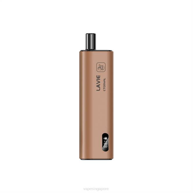 LAVIE ETERNAL 10000 Puffs 4HB0117 | Vape Wholesale Supplier Coffee