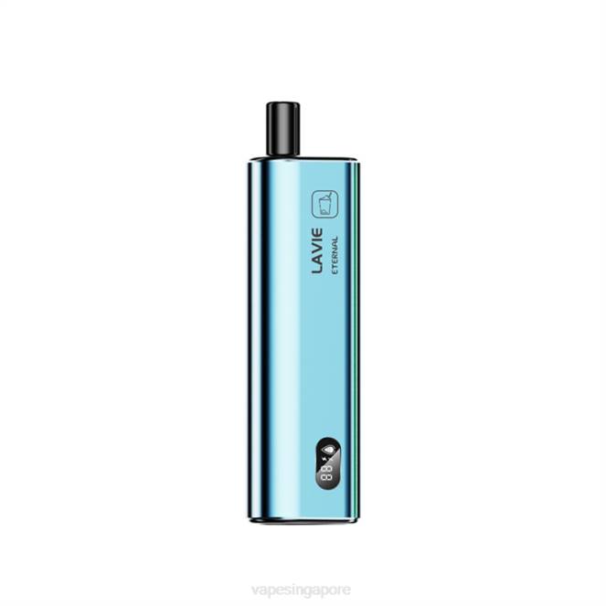 LAVIE ETERNAL 10000 Puffs 4HB0125 | Vape Wholesale Near Me Mojito