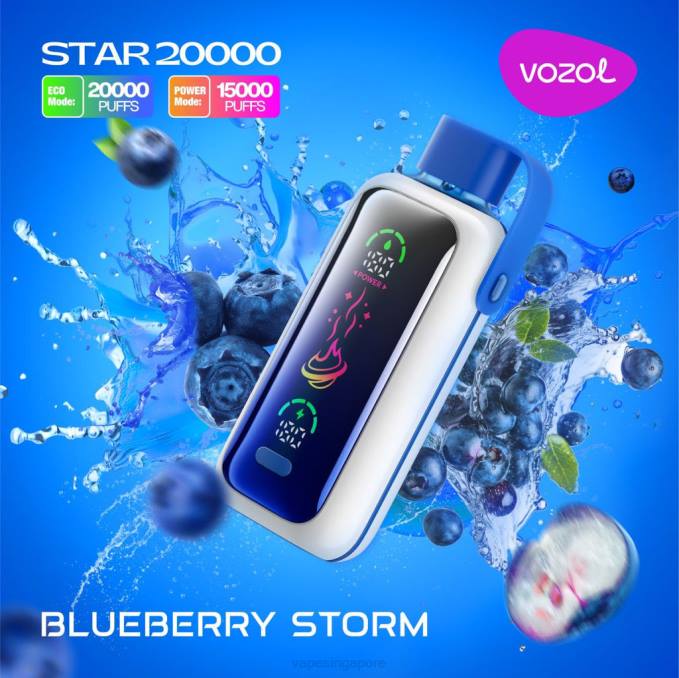 Disposable Vape Sg BLUEBERRY STORM 2TFN5 VOZOL STAR 20000