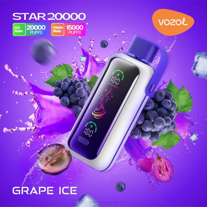 Vape Supplier Singapore GRAPE ICE 2TFN9 VOZOL STAR 20000